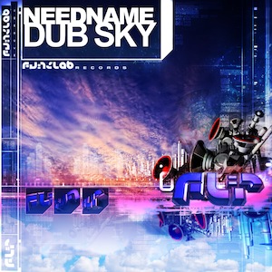 FLR2012 NeedName